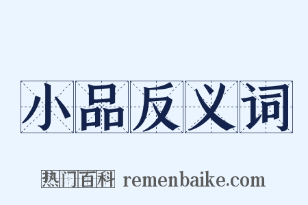 小品反义词是什么意思的图片